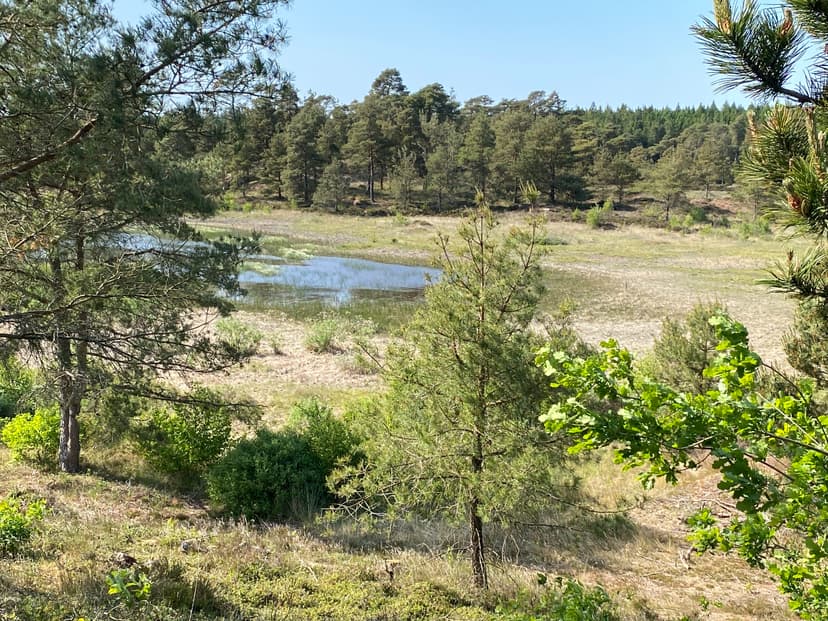 Guidet tur ved 7-årssøerne – magisk natur med 200 års krigsspor.